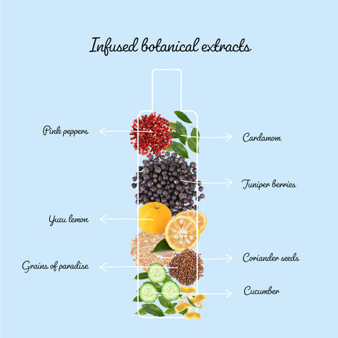 alcohol-free-botanical-gin