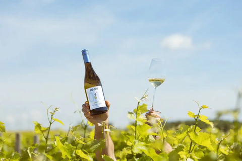 divin-sauv-blanc-penticton