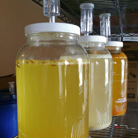 ginger-beer-fermentation-airlock