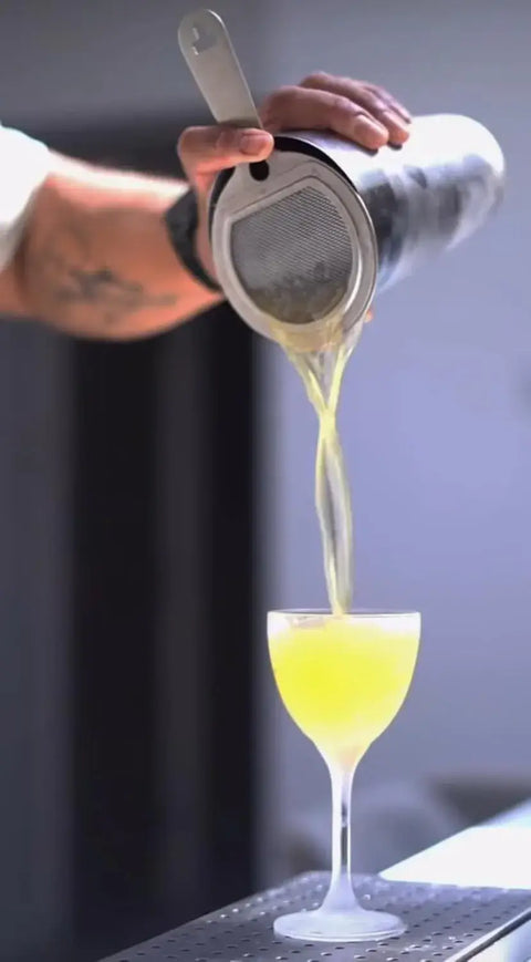 hawthorne-strainer-with-fine-mesh